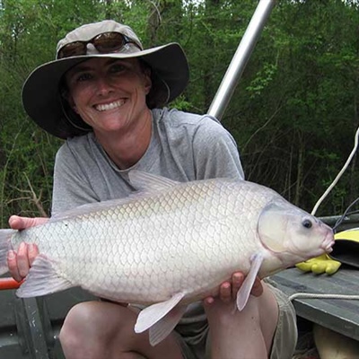 Biologist holds a native undescribed carpsucker species during robust redhorse sampling on the Pee Dee River