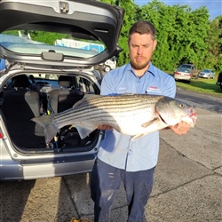 Chris Williams with a striped bass from Lake Hickory